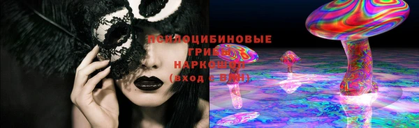 гидропоника Богородицк