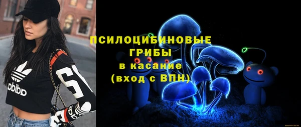 гидропоника Богородицк